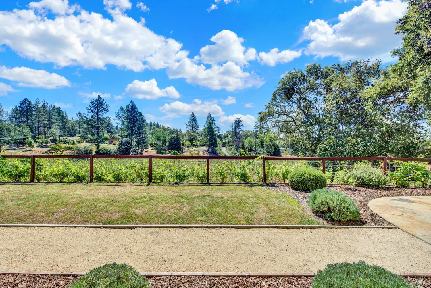 875 White Cottage Road N Angwin CA 94508
