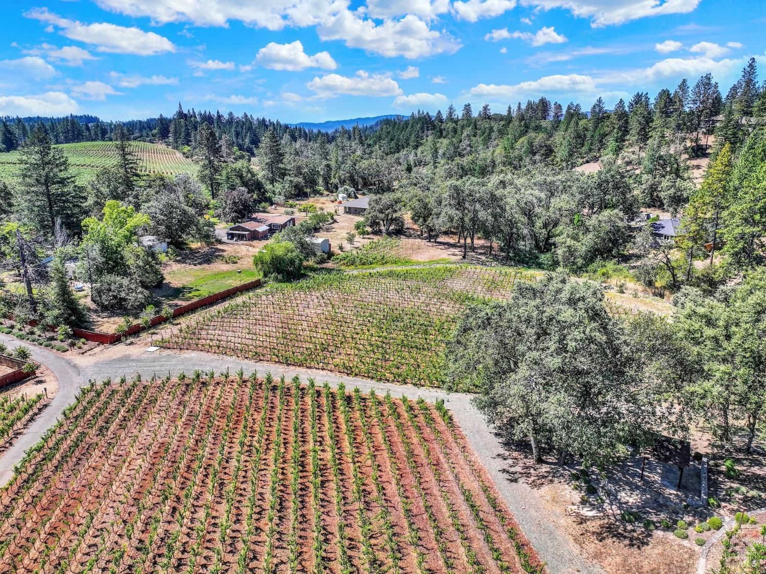 875 White Cottage Road N Angwin CA 94508