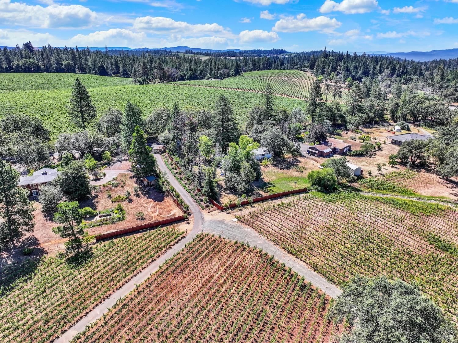 875 White Cottage Road N Angwin CA 94508