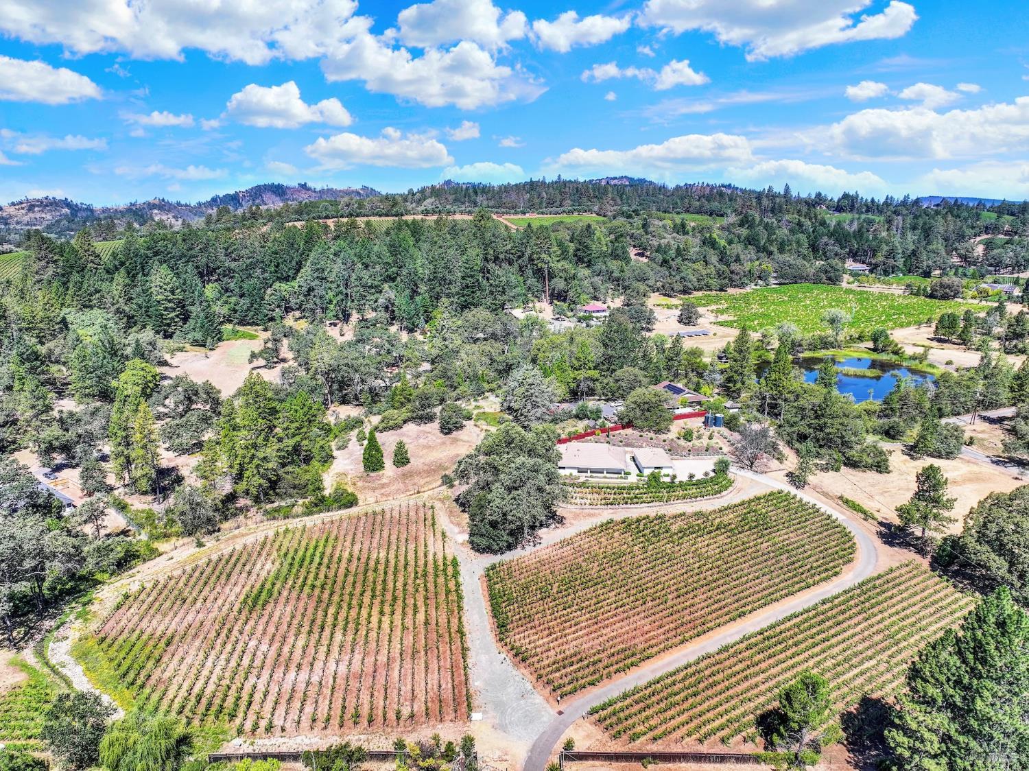 875 White Cottage Road N Angwin CA 94508