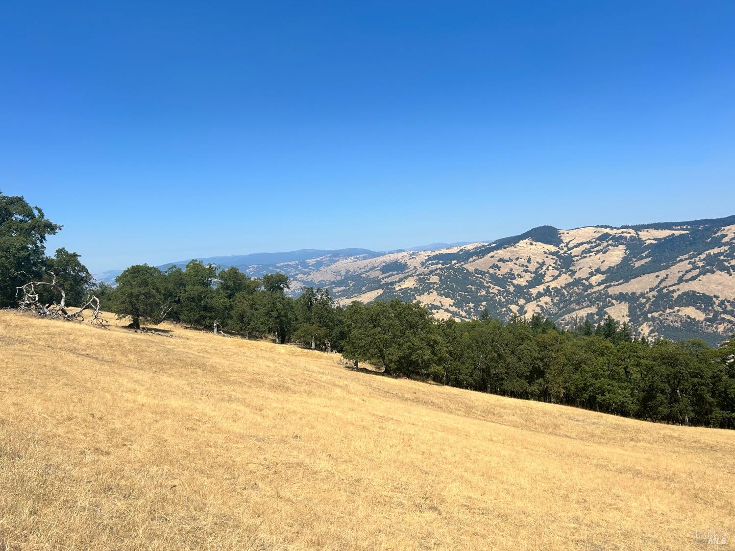 74250 Island Mountain Road Piercy CA 95587