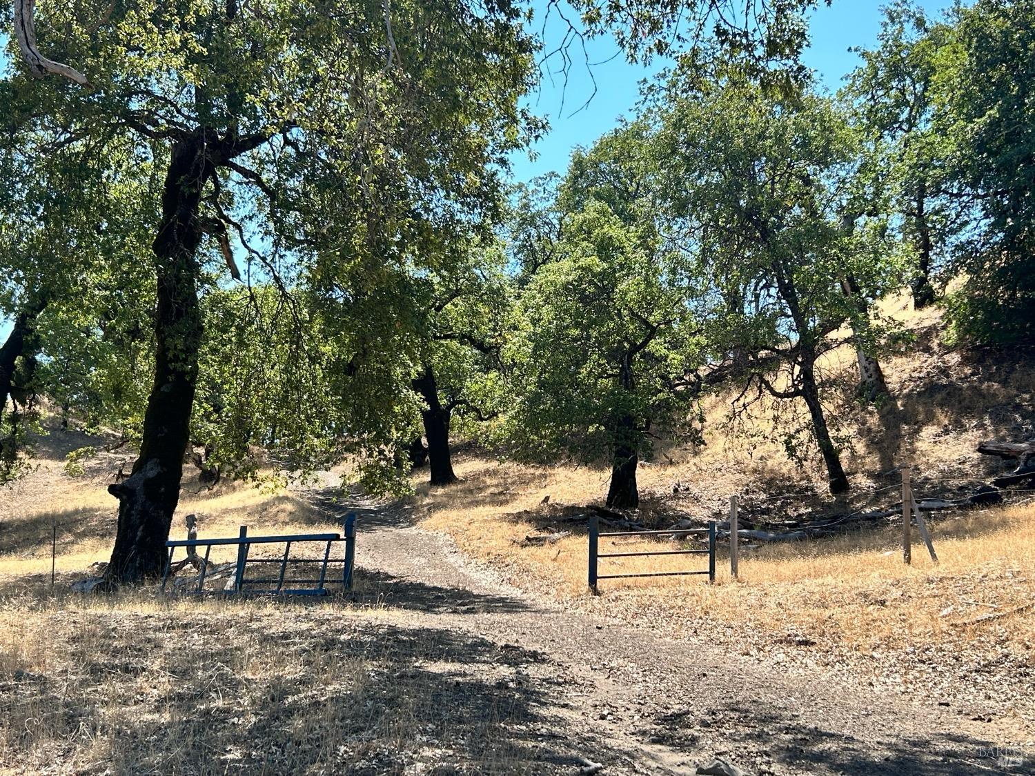 74250 Island Mountain Road Piercy CA 95587