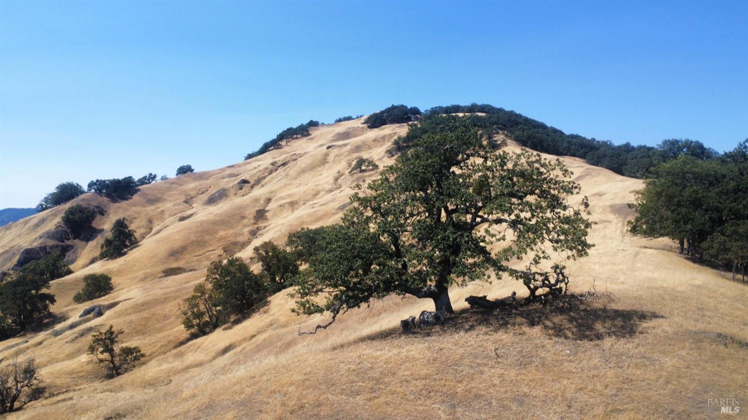 74250 Island Mountain Road Piercy CA 95587
