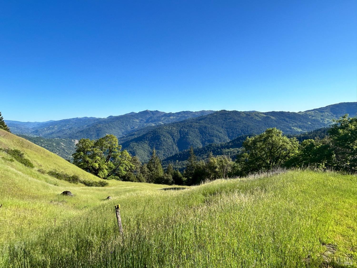 74250 Island Mountain Road Piercy CA 95587