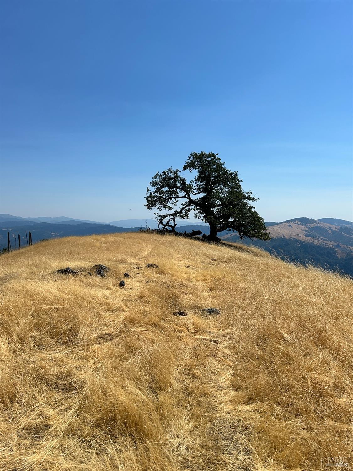 74250 Island Mountain Road Piercy CA 95587