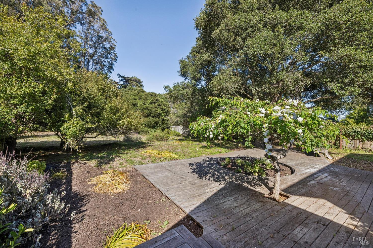 5 Lauff Ranch Road Bolinas CA 94924
