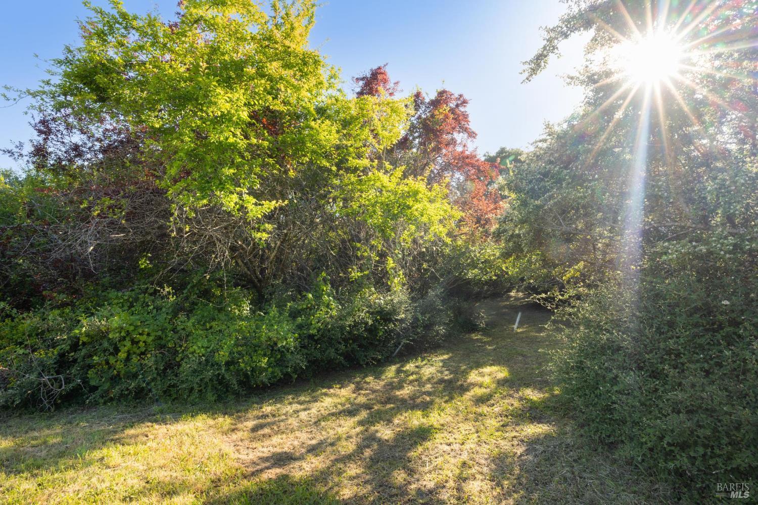 5 Lauff Ranch Road Bolinas CA 94924