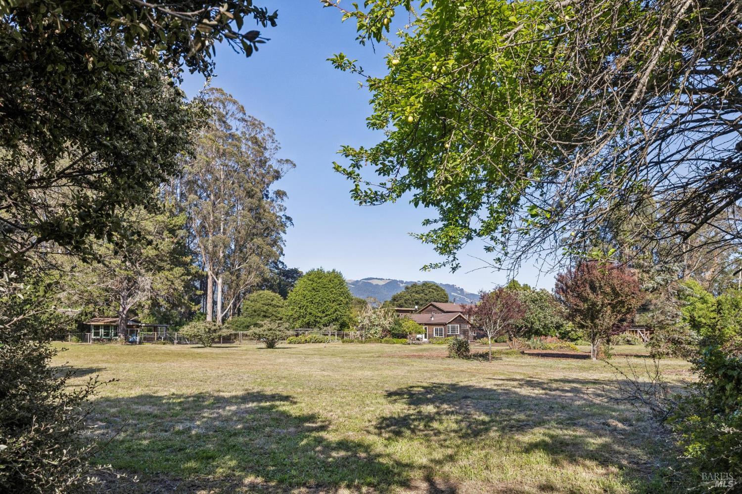 5 Lauff Ranch Road Bolinas CA 94924
