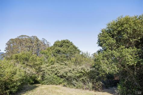 5 Lauff Ranch Road Bolinas CA 94924
