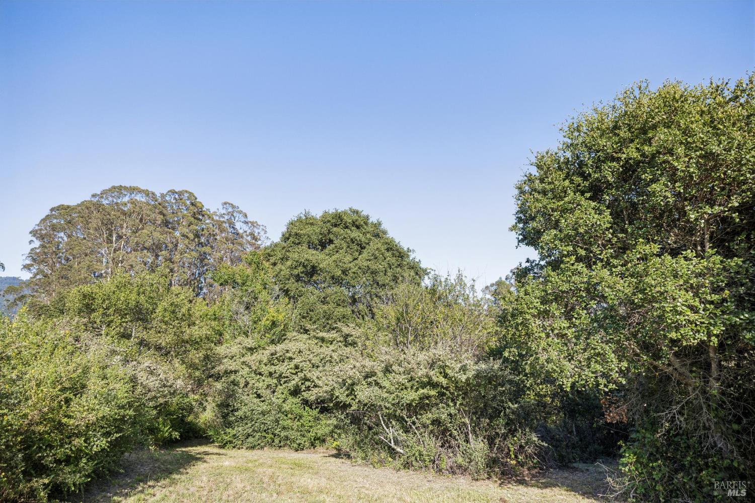 5 Lauff Ranch Road Bolinas CA 94924