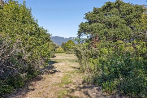 5 Lauff Ranch Road Bolinas CA 94924
