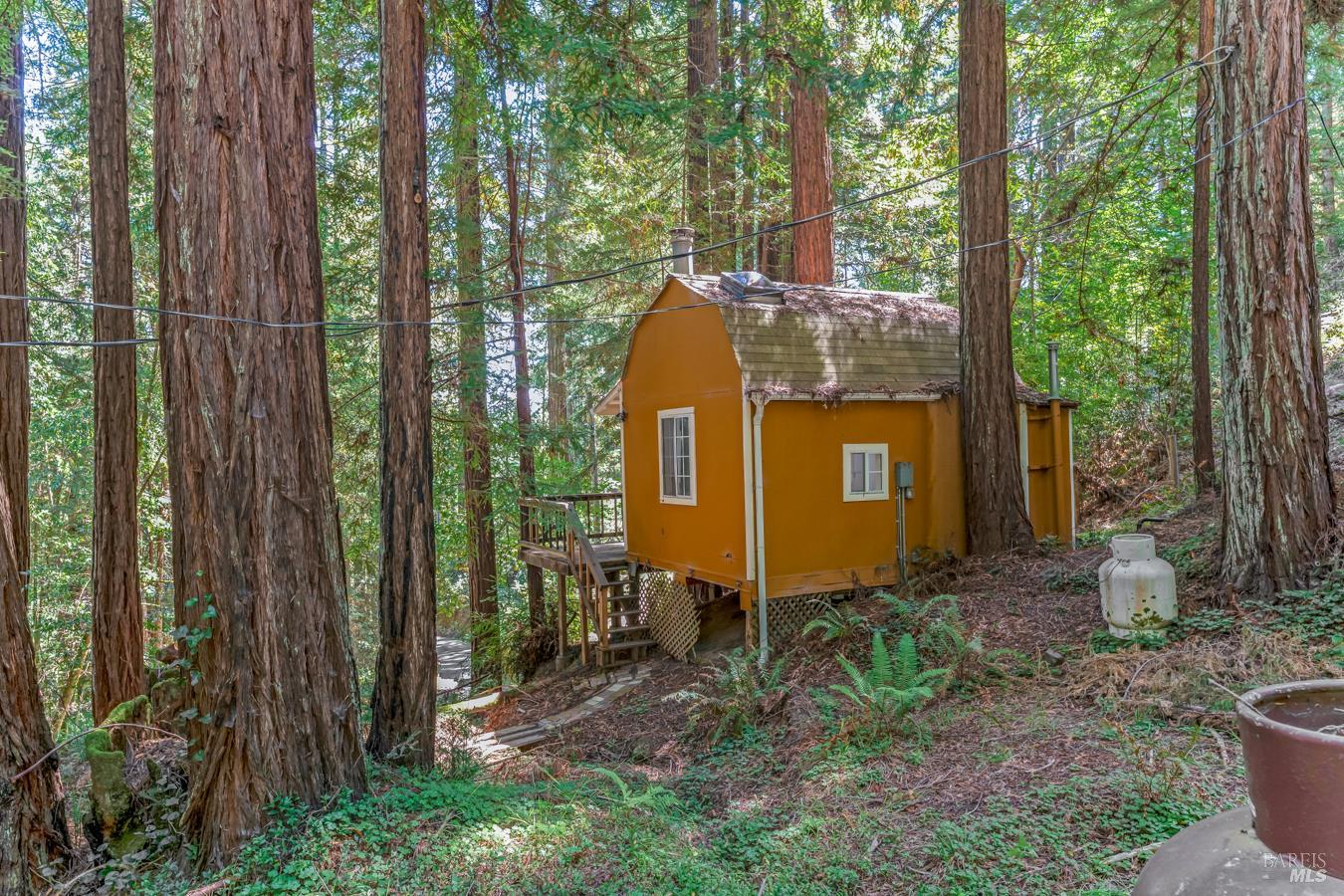 2728 Bohemian Highway Occidental CA 95465