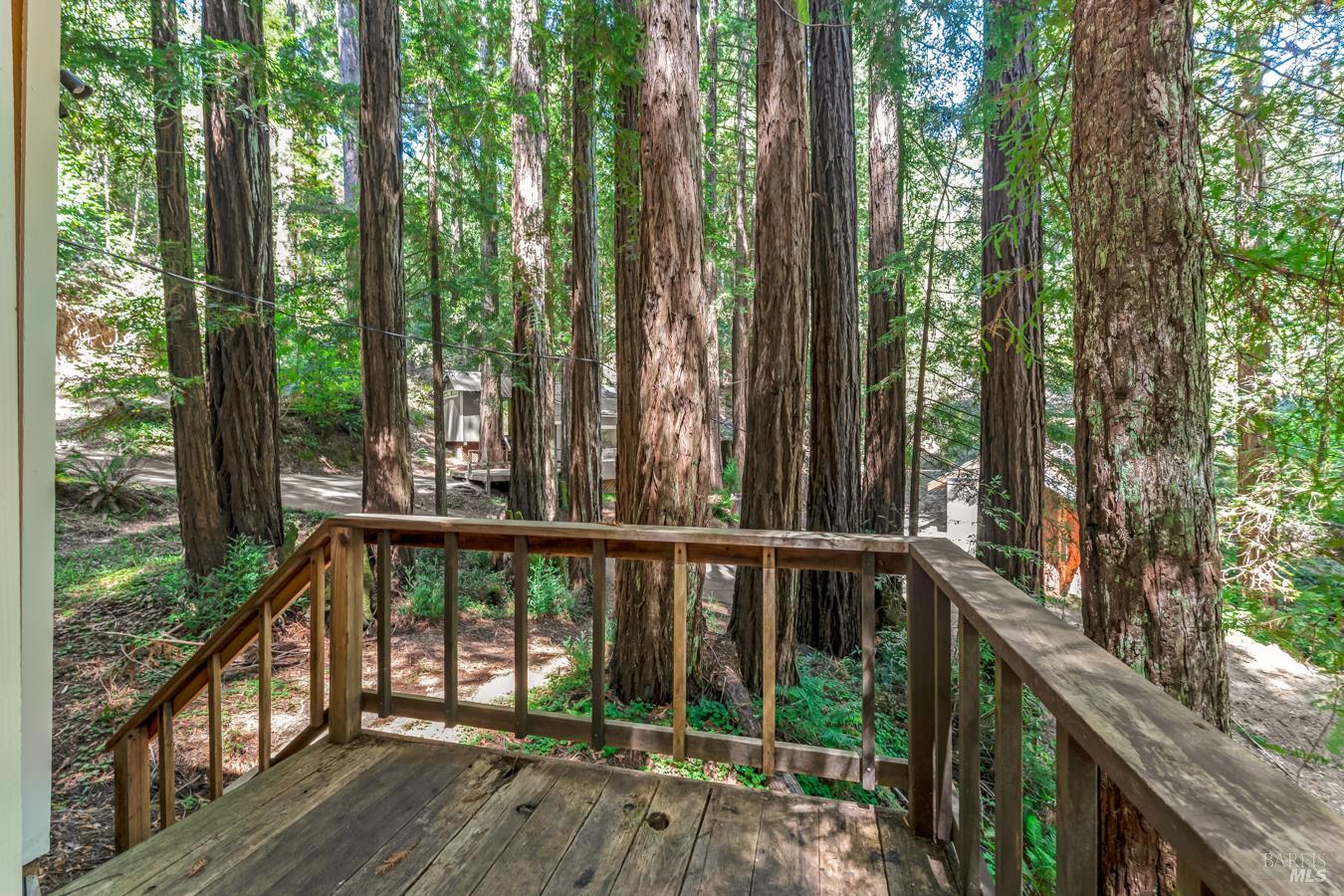 2728 Bohemian Highway Occidental CA 95465