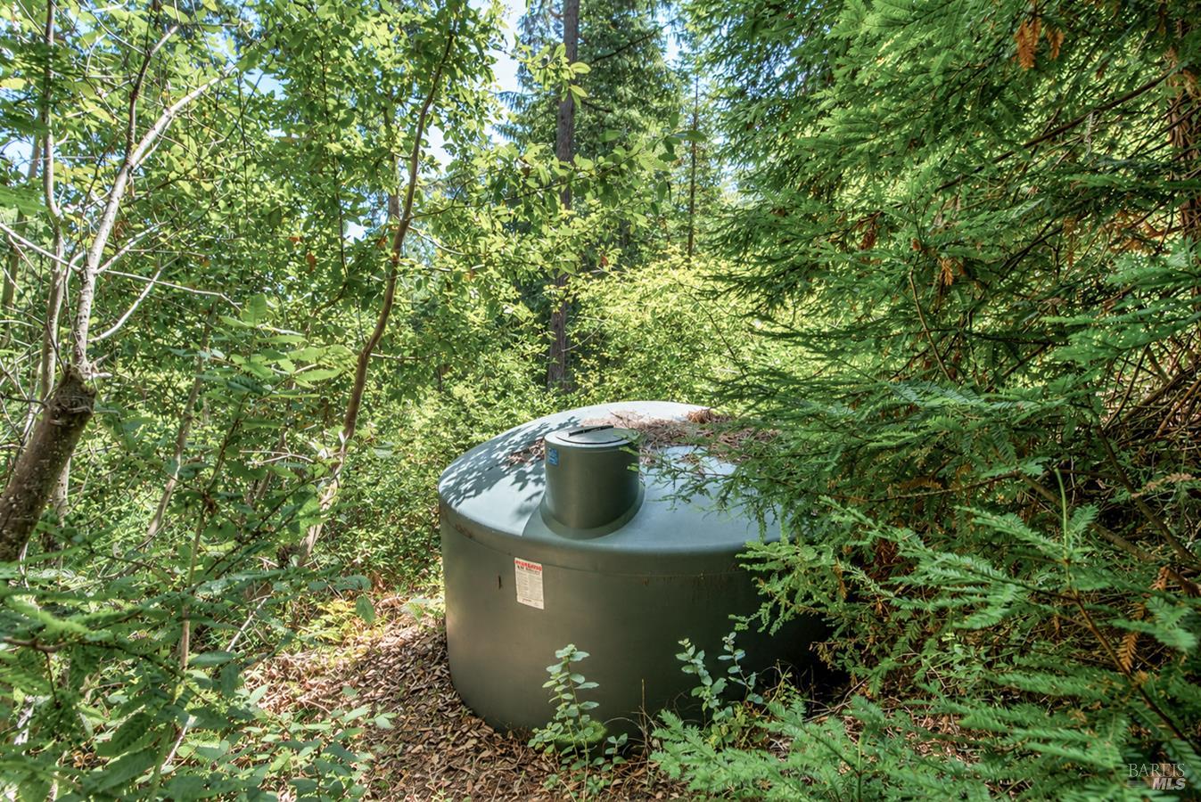 2728 Bohemian Highway Occidental CA 95465