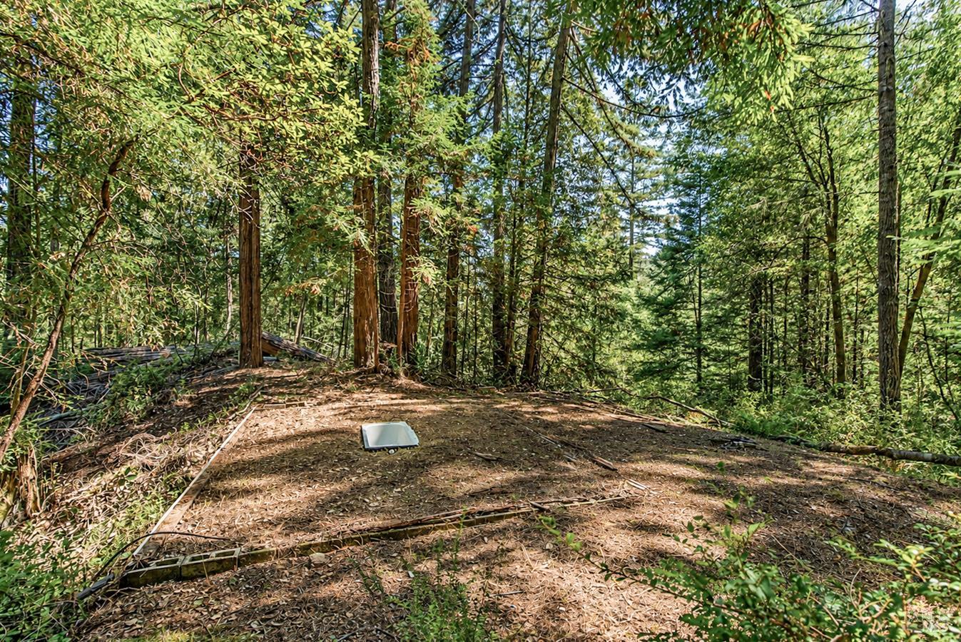 2728 Bohemian Highway Occidental CA 95465