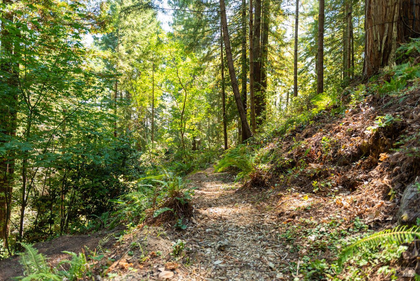 2728 Bohemian Highway Occidental CA 95465