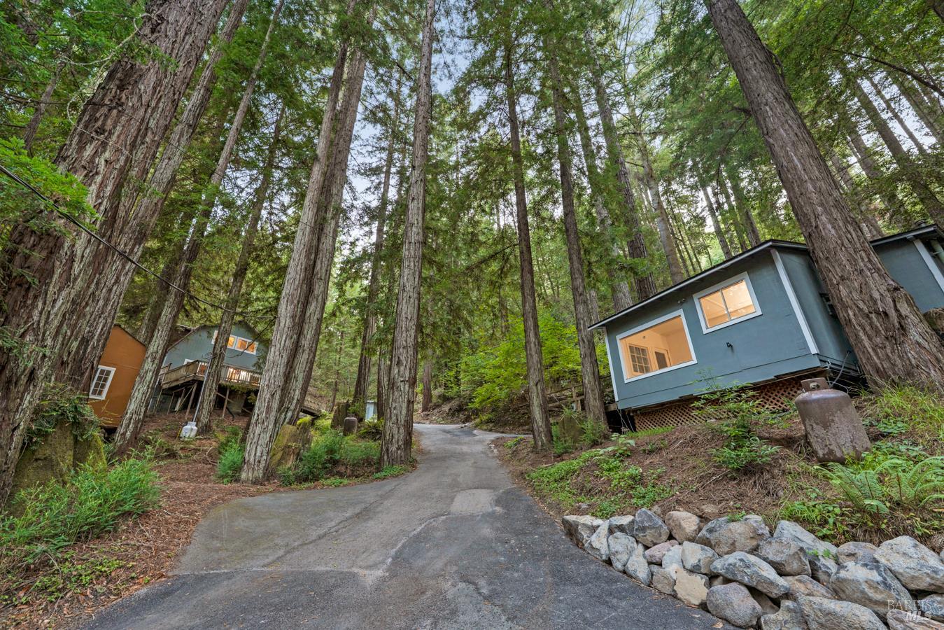 2728 Bohemian Highway Occidental CA 95465