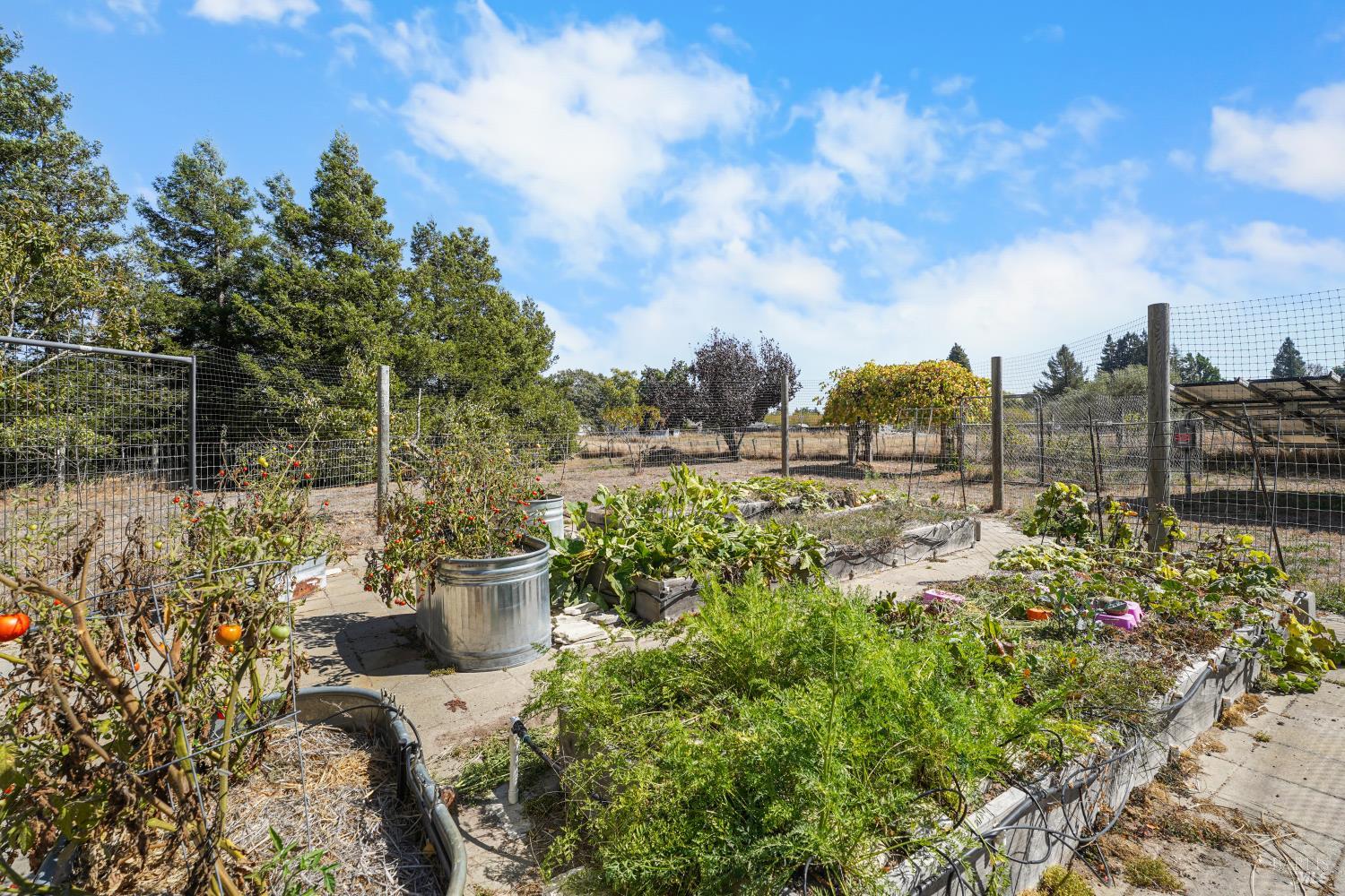 51 Boylan Lane Sebastopol CA 95472