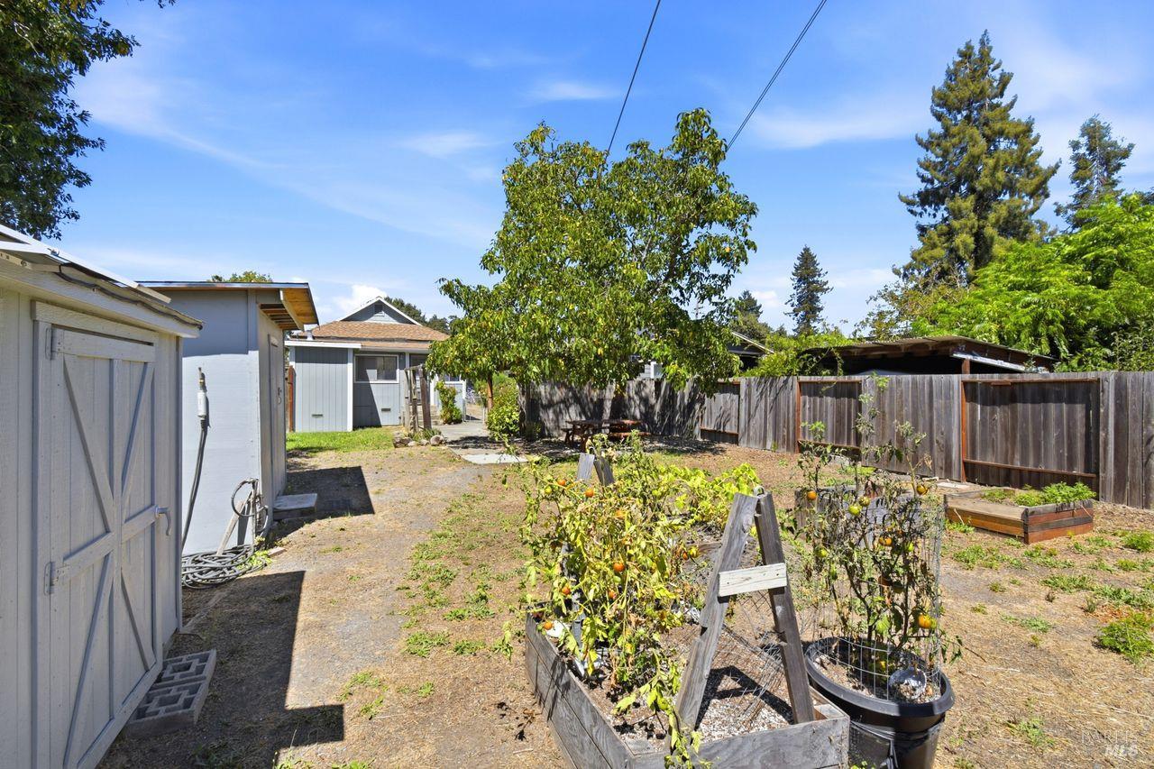 216 Theresa Street Santa Rosa CA 95407