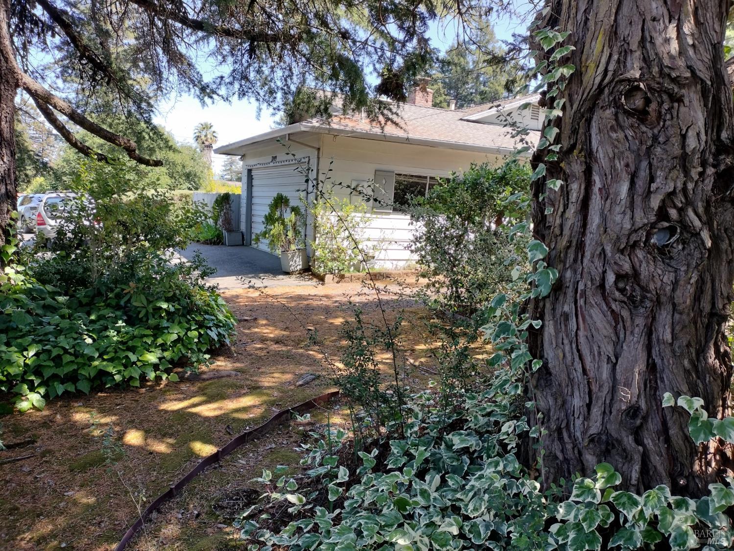 7149 Lynch Road Sebastopol CA 95472
