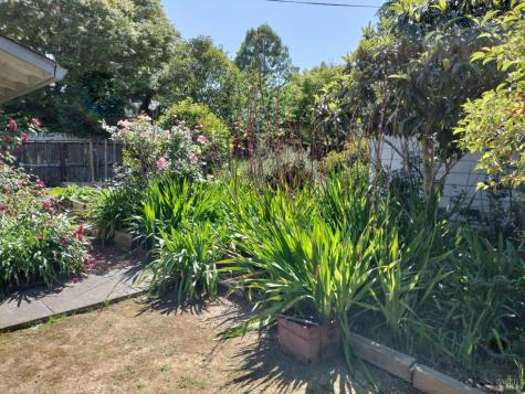 7149 Lynch Road Sebastopol CA 95472