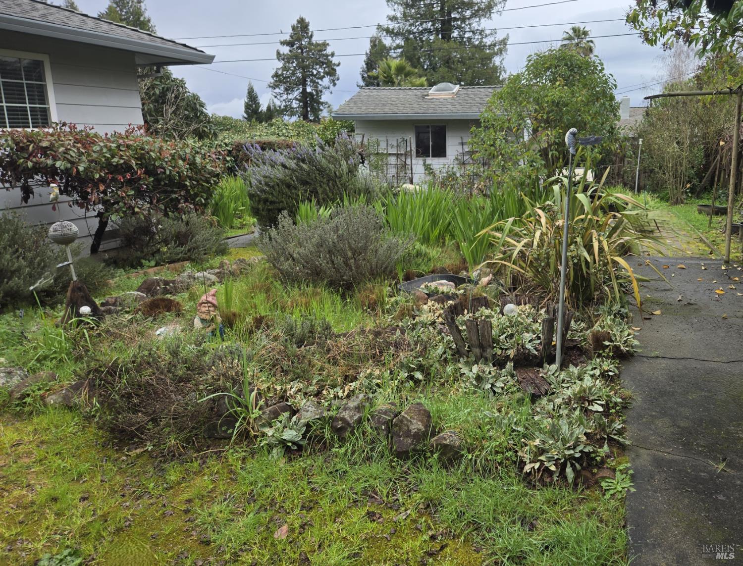7149 Lynch Road Sebastopol CA 95472