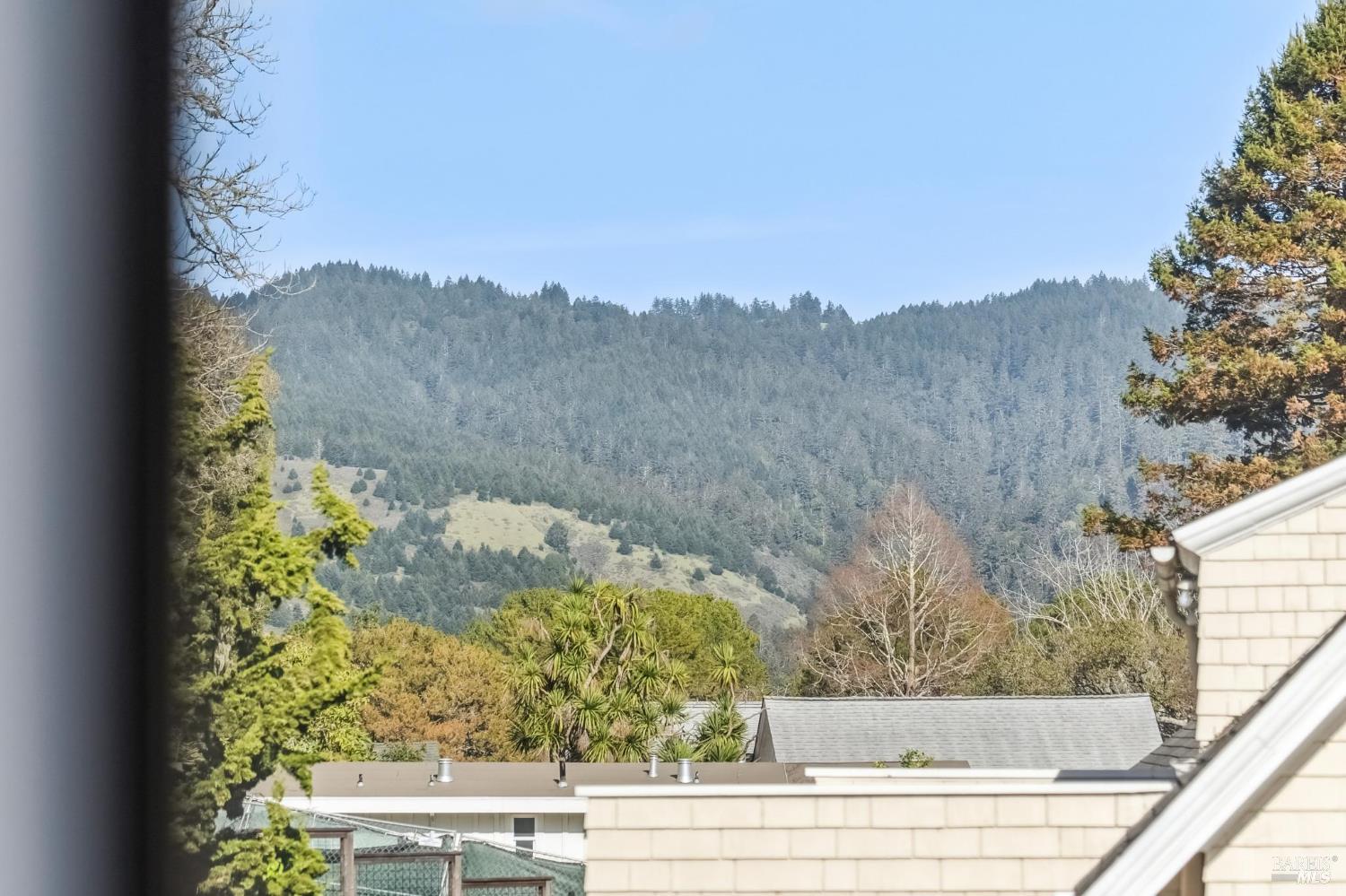 11 Wharf Road Bolinas CA 94924