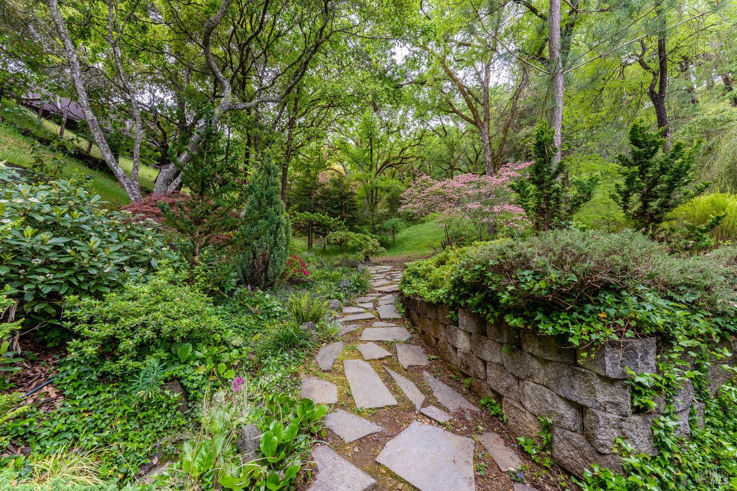1247 Myszka Place Ukiah CA 95482