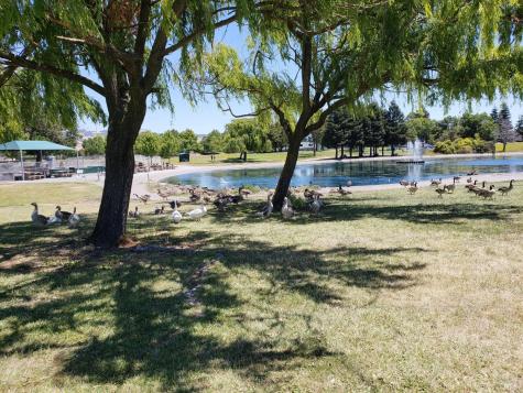 1740 Spyglass Road Petaluma CA 94954