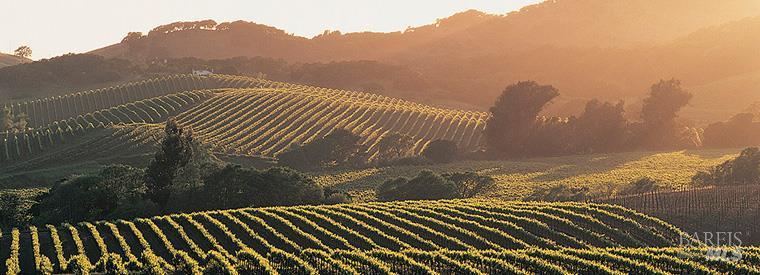 1740 Spyglass Road Petaluma CA 94954