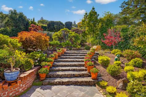 323 San Rafael Avenue Belvedere CA 94920