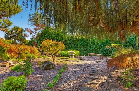 323 San Rafael Avenue Belvedere CA 94920