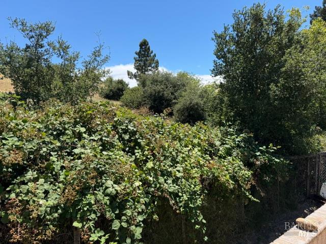 6 Palestrina Court American Canyon CA 94503