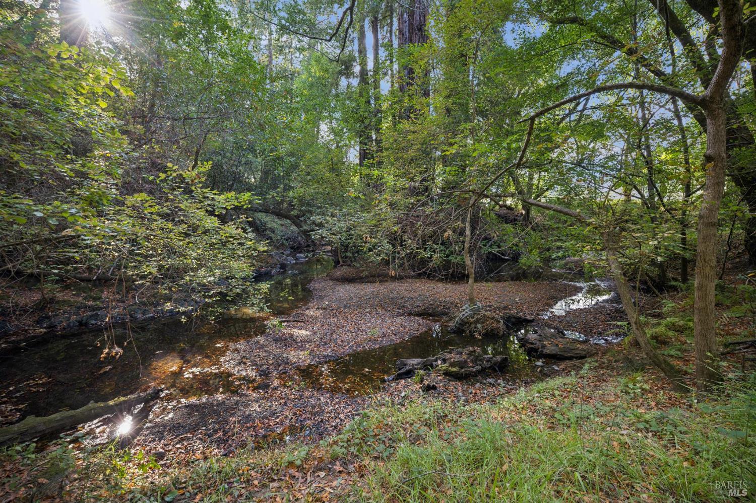 380 San Geronimo Valley Drive San Geronimo CA 94973
