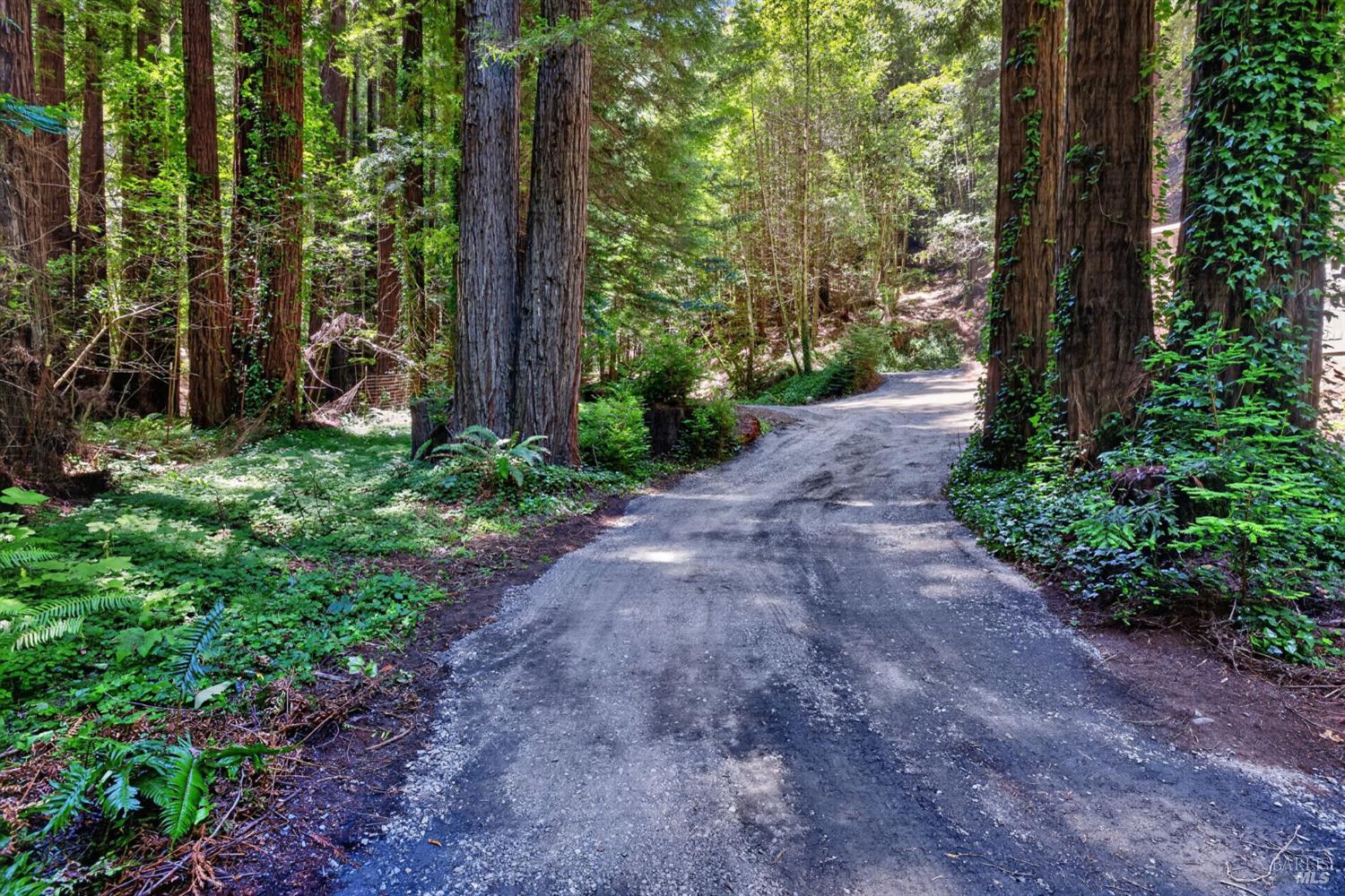 1585 Cazadero Highway Cazadero CA 95421
