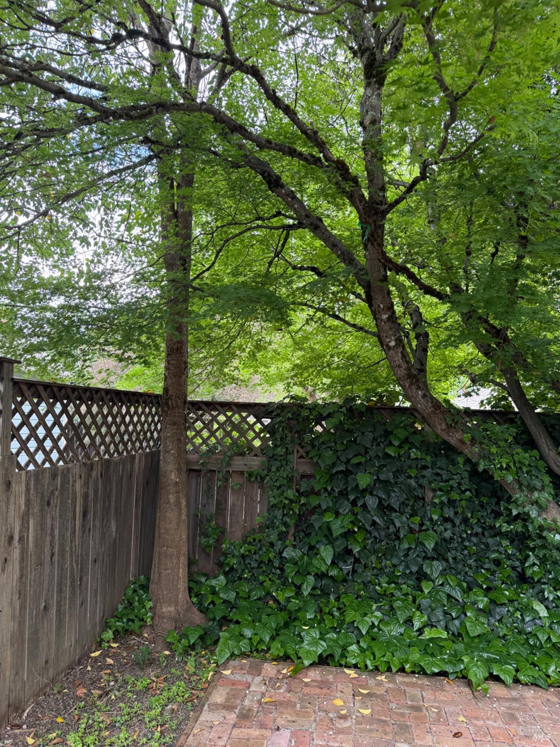 530 W Stephenson Street Ukiah CA 95482