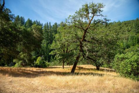 23 Wickersham Ranch Road Cloverdale CA 95448