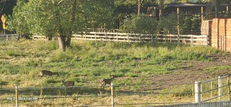 397 W Railroad Avenue Cotati CA 94931