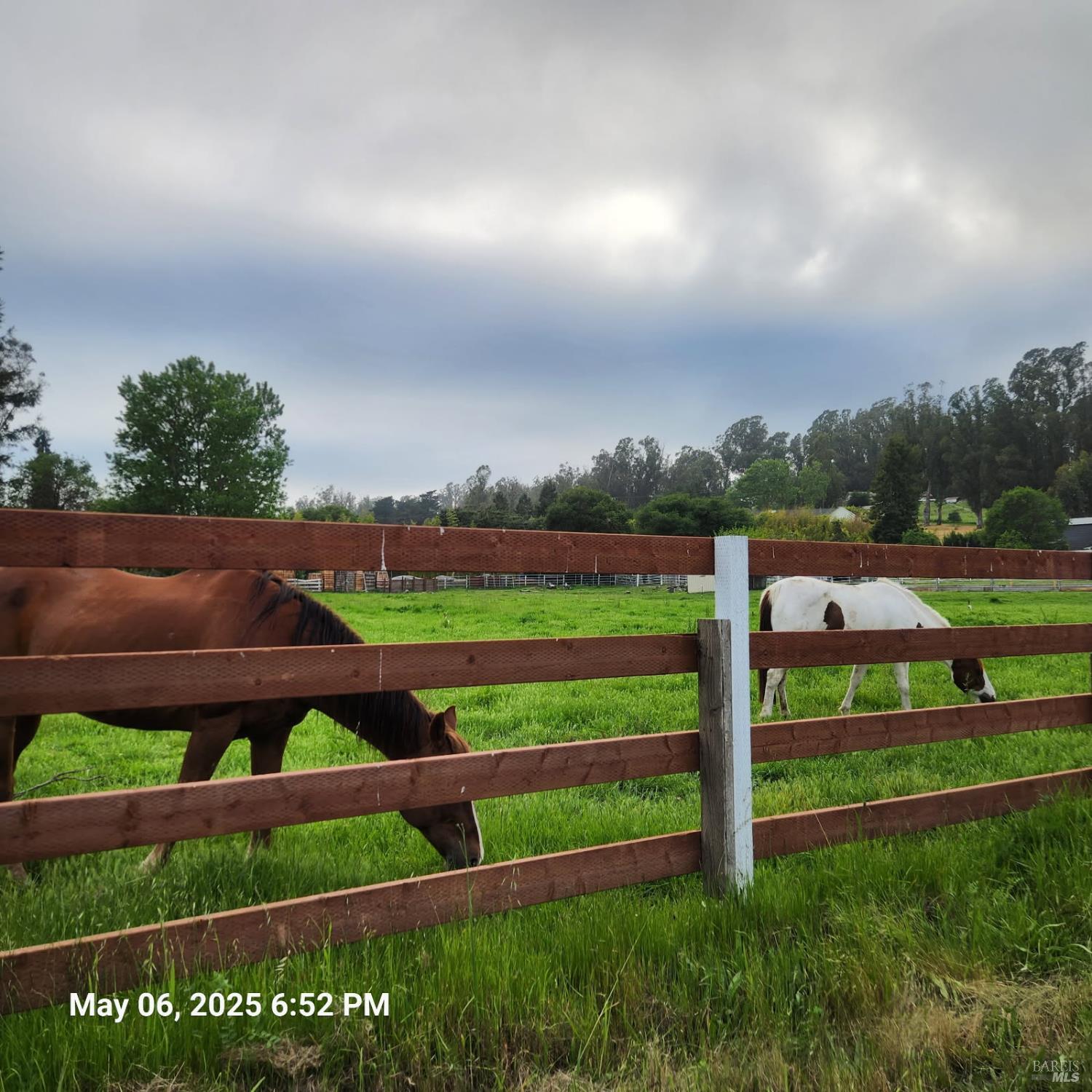 397 W Railroad Avenue Cotati CA 94931