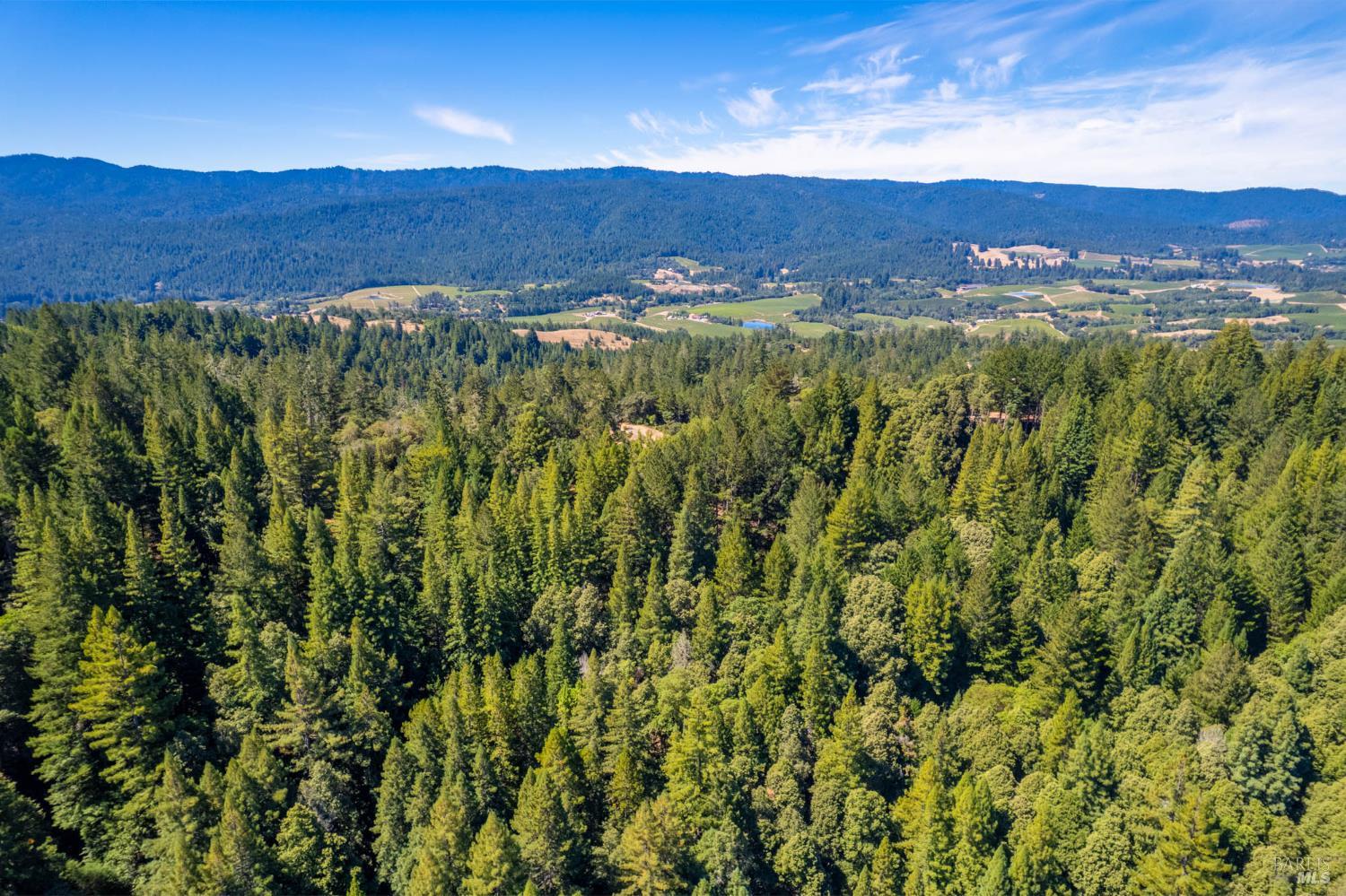11901 Clow Ridge Road Philo CA 95466