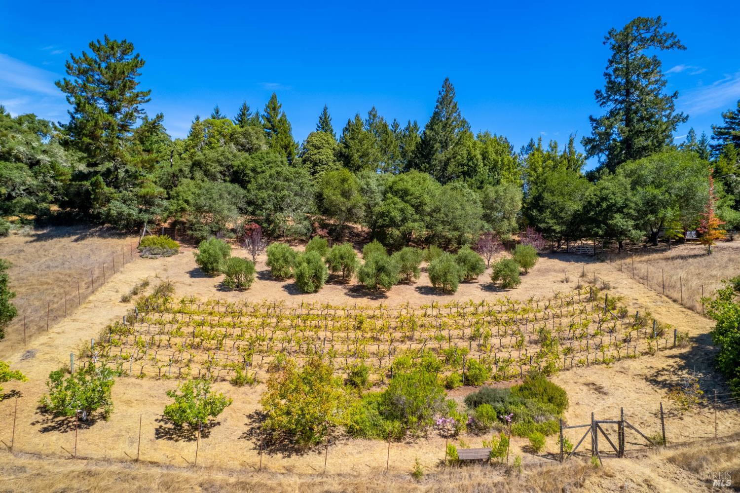 11901 Clow Ridge Road Philo CA 95466
