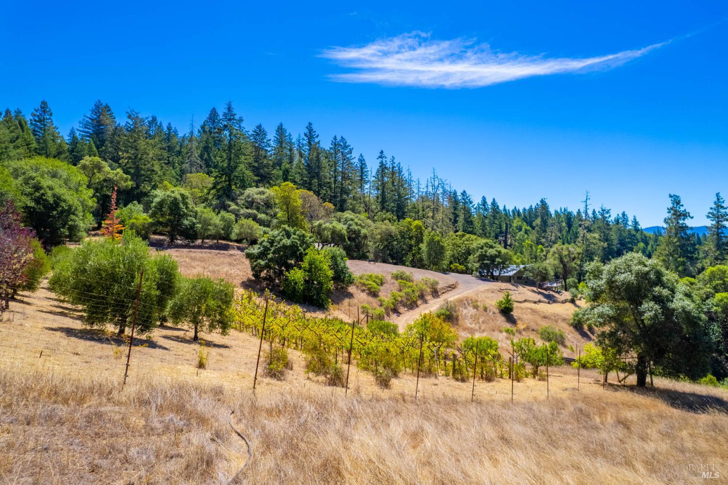 11901 Clow Ridge Road Philo CA 95466