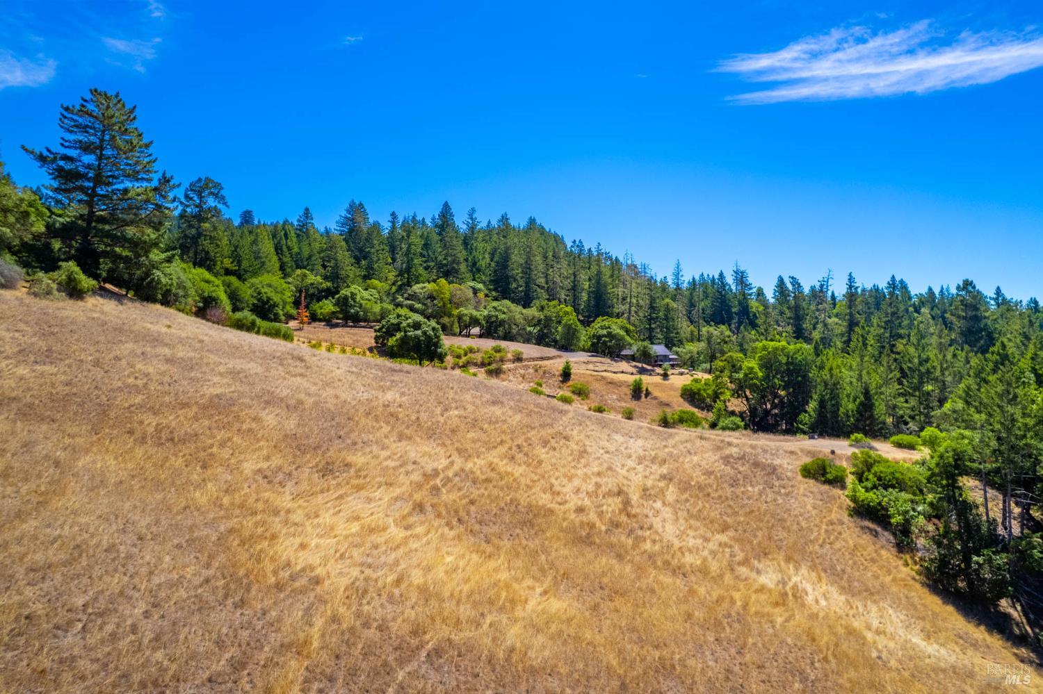 11901 Clow Ridge Road Philo CA 95466