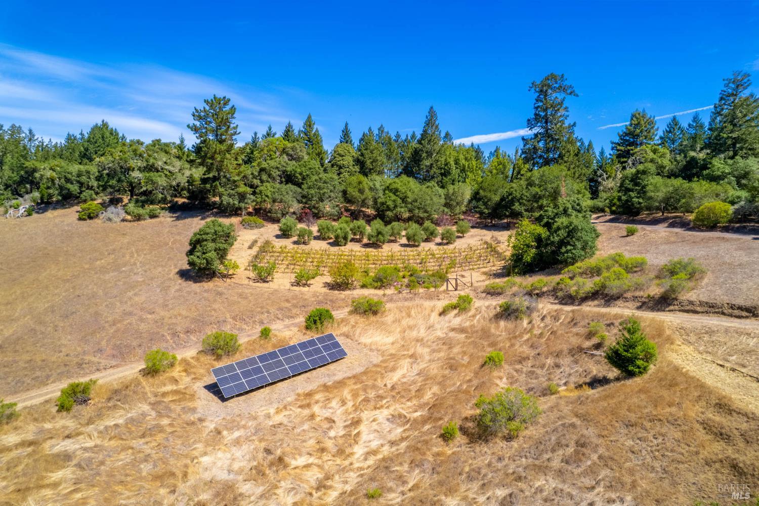 11901 Clow Ridge Road Philo CA 95466