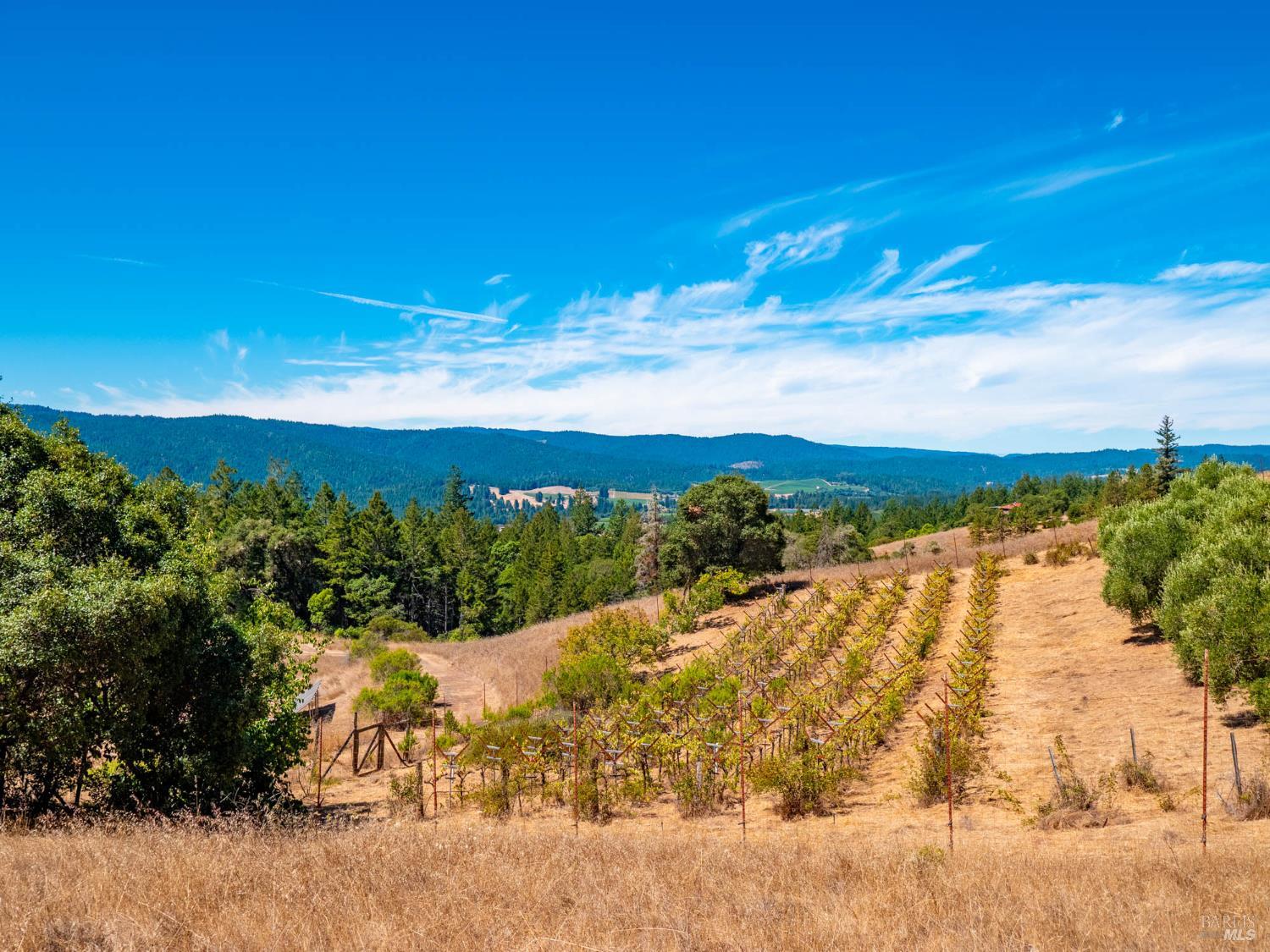 11901 Clow Ridge Road Philo CA 95466