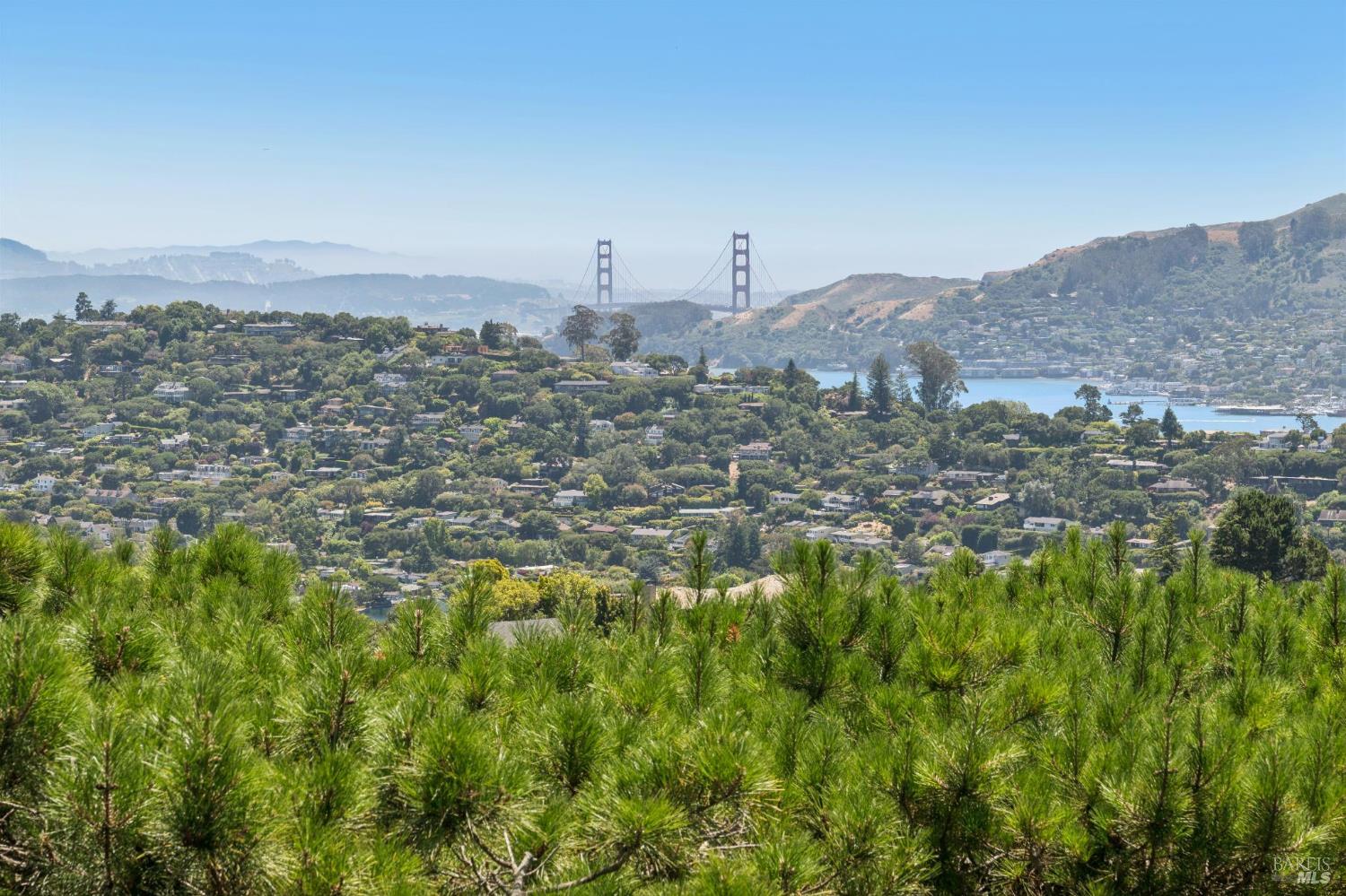 81 Mount Tiburon Road Tiburon CA 94920