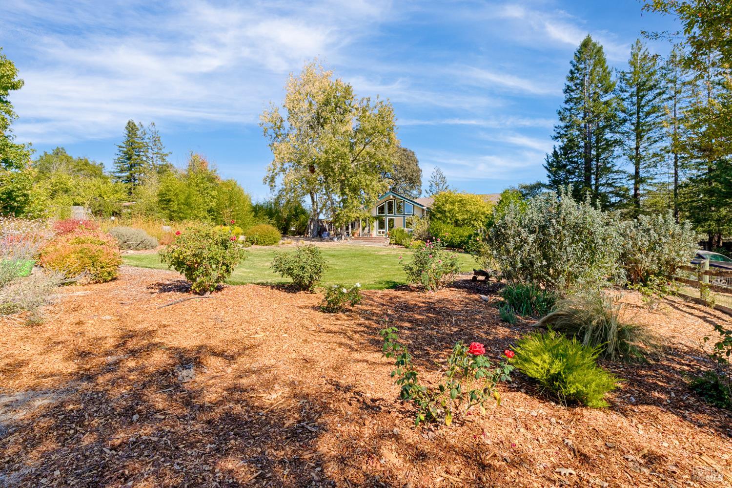 7240 Covey Road Forestville CA 95436