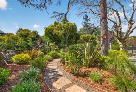 82 Shady Lane Ross CA 94957