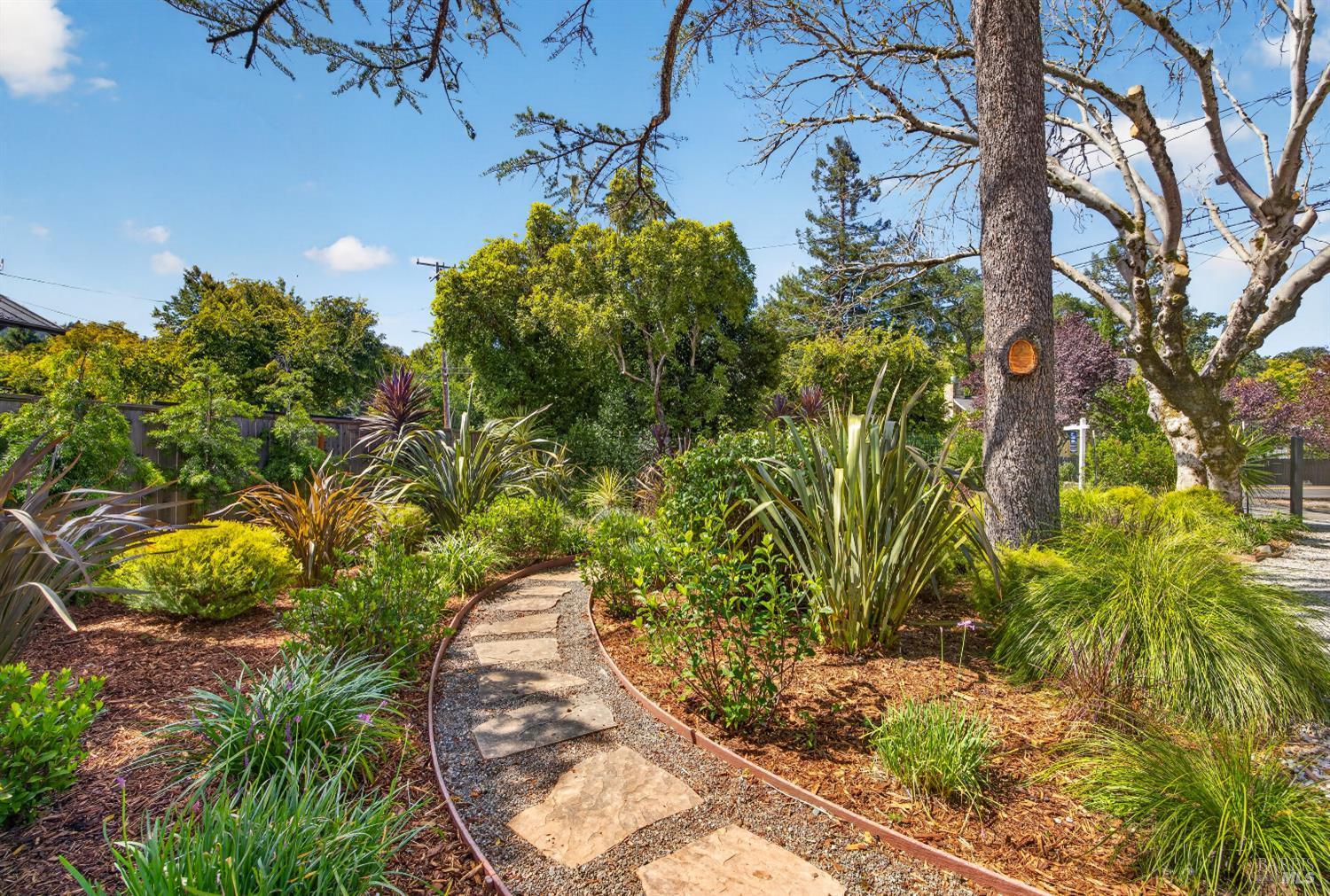 82 Shady Lane Ross CA 94957
