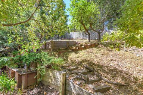 25 Maple Avenue Fairfax CA 94930